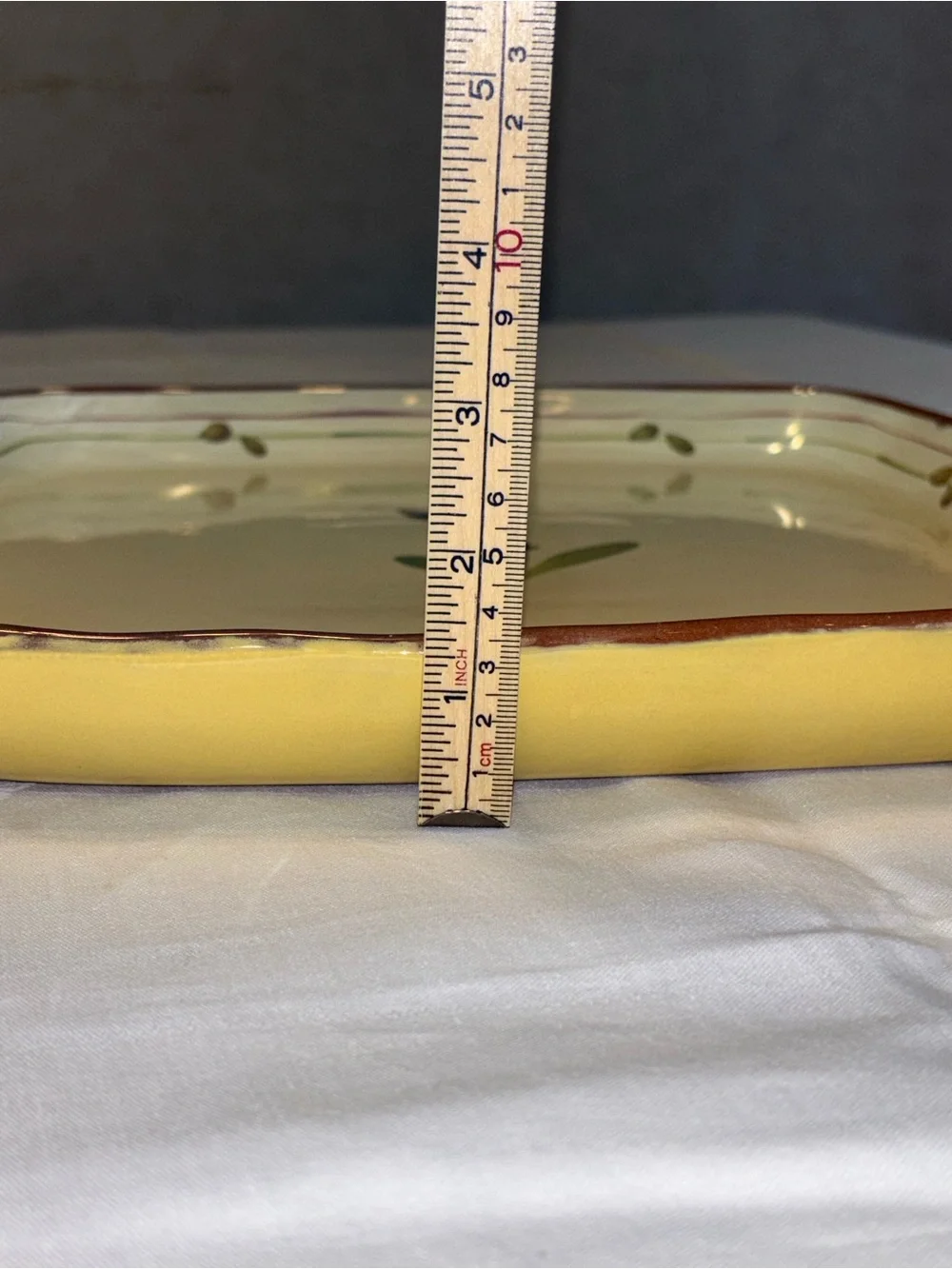 Crate and Barrel Provence Rustic Olive Branch Terracotta serving Platter